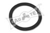 CAUTEX 954208 Gasket, thermostat